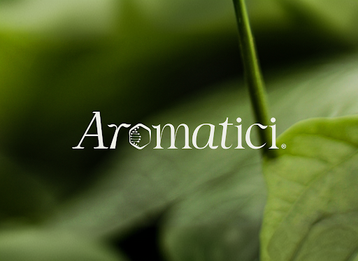 Aromatici – Branding case study